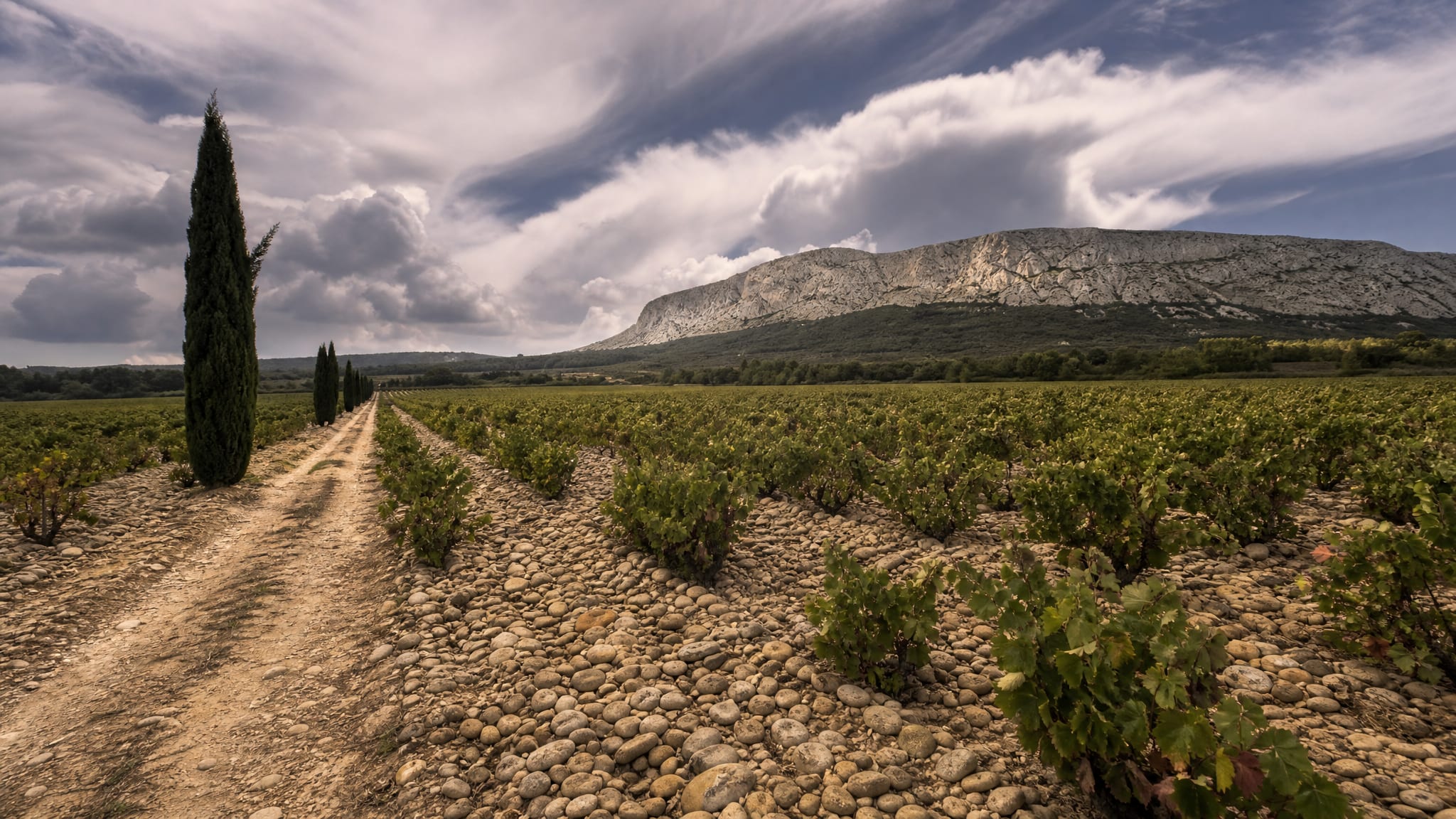 Galet-strewn vineyard plain under wide skies in the southern Rhône
