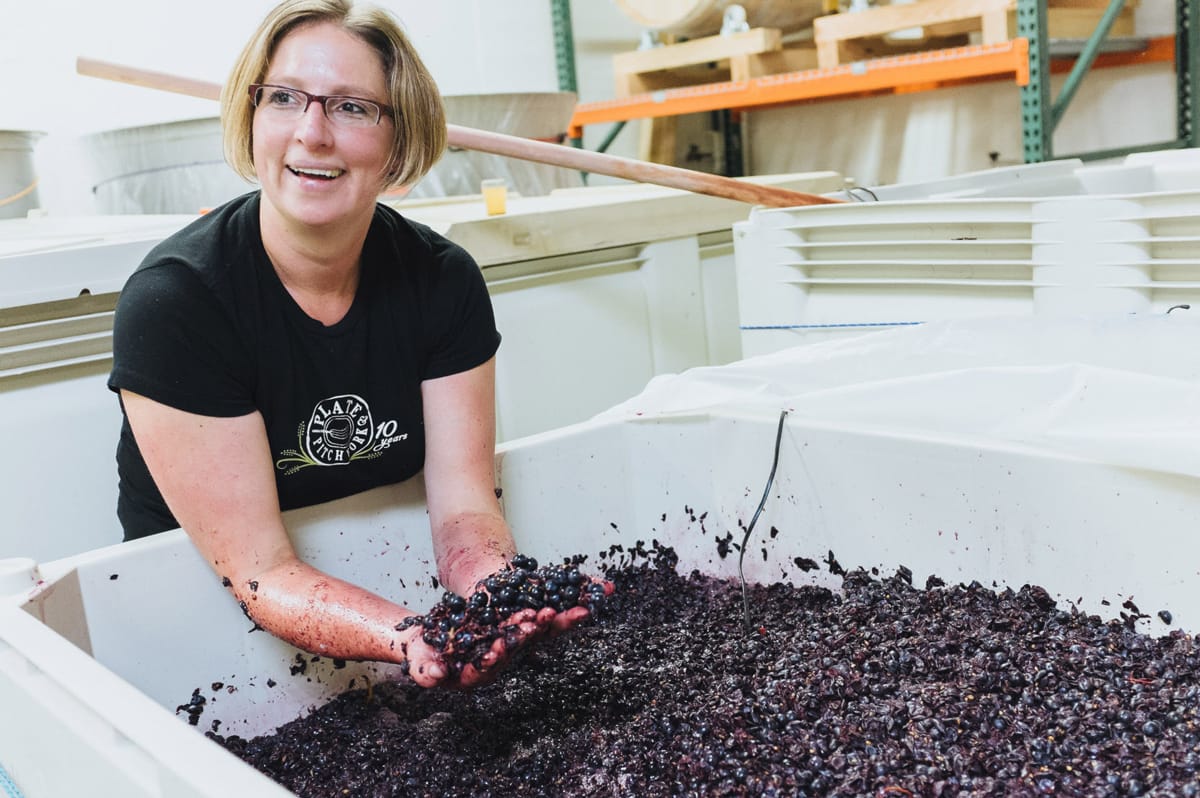 A sorter inspecting freshly harvested grapes on a sorting table